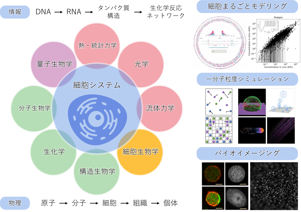 Amazon.co.jp: 土壌づくりのサイエンス: 世界初!微生物量が