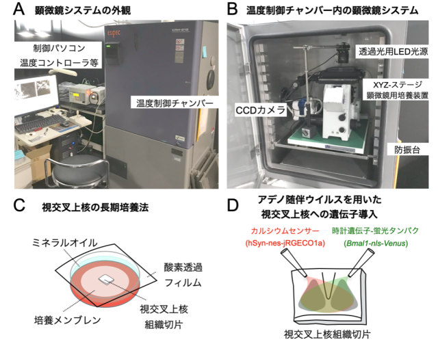 図2. 研究方法の概要