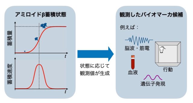 図１：提案モデルのコンセプト