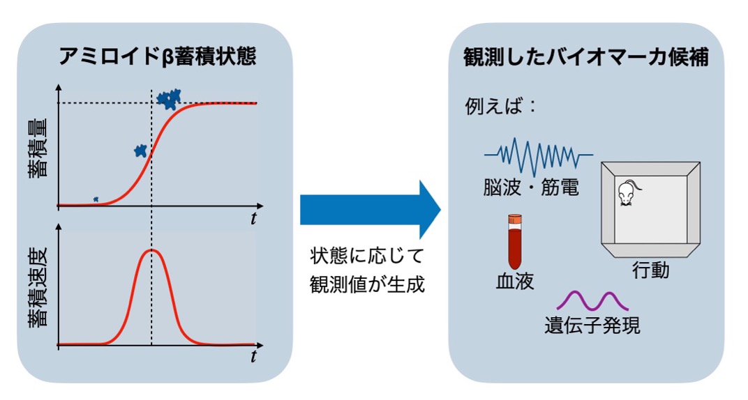 各疾患モデル動物の作製と病態・薬効評価 双極性障害の躁・うつの両方の症状を示す世界初の動物モデルの