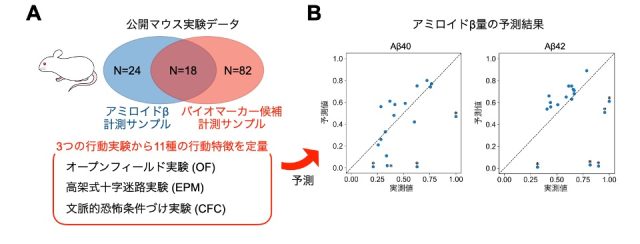 図2：公開マウス行動実験データによるアミロイドβ量の予測