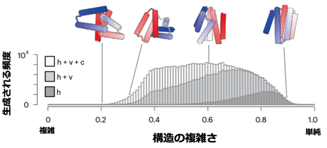 図3　18個の典型的なHLHモチーフを用いて計算機で生成した6本ヘリックス構造の複雑さの分布

hはヘアピン型のHLHモチーフのみを用いて構造を生成した場合、h+vはヘアピン型およびVシェイプ型のHLHモチーフを用いて構造を生成した場合、h+v+cは、コーナー型を含む全18個のHLHモチーフを用いて構造を生成した場合の結果が示されている。横軸の「構造の複雑さ」は、αヘリックスがお互いにどの程度平行に並んでいるかで定義され、数値が0に近づくほど構造が複雑であることを示す。Vシェイプ型やコーナー型のHLHモチーフを含めることで、複雑な構造が生成される。グラフの上側に、生成された構造の例が示されている。
